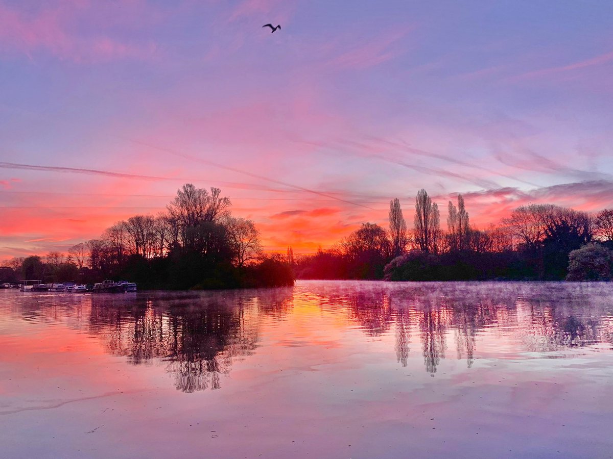 ruths_gallery's tweet image. An incredible start to the Bank Holiday with a deep red predawn sky and mist rising from the Thames. 

@SallyWeather #sunrise #reflections #bankholidaymonday #twickenham #thames #loveukweather @metoffice