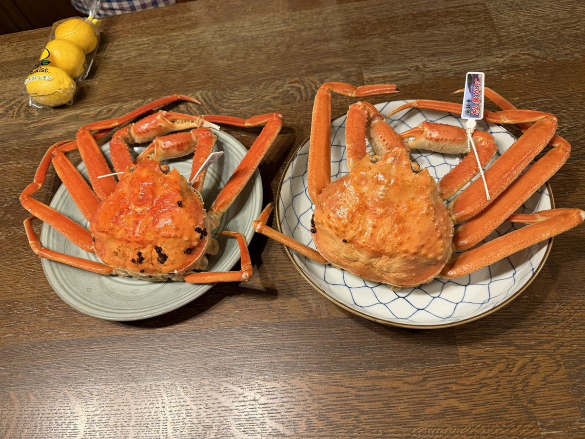 OKAMI PROJECT（オオカミプロジェクト） tweet media