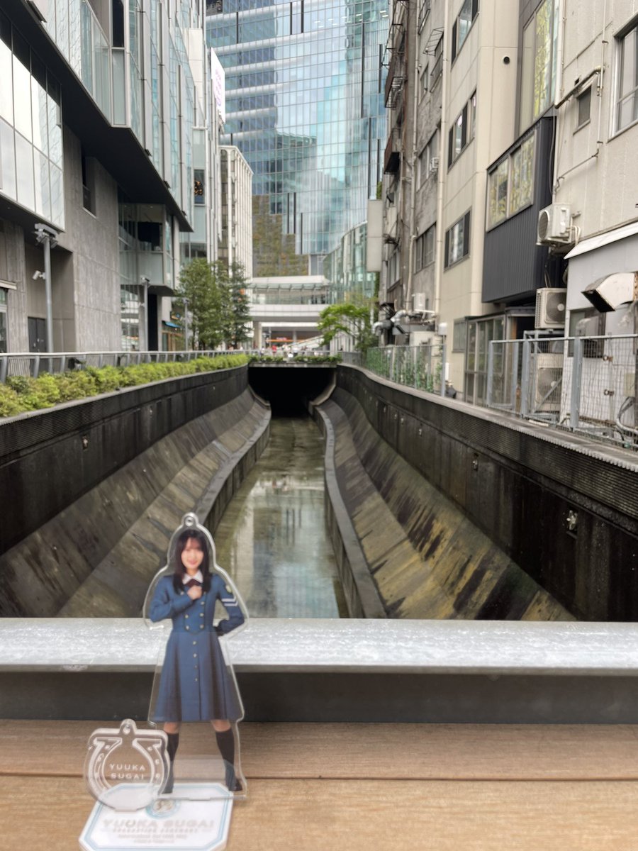 プレーリーさん⊿46 tweet media