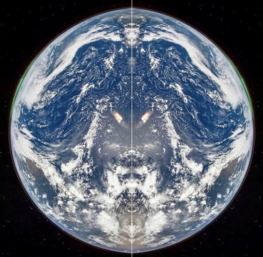 Redpill Drifter tweet media