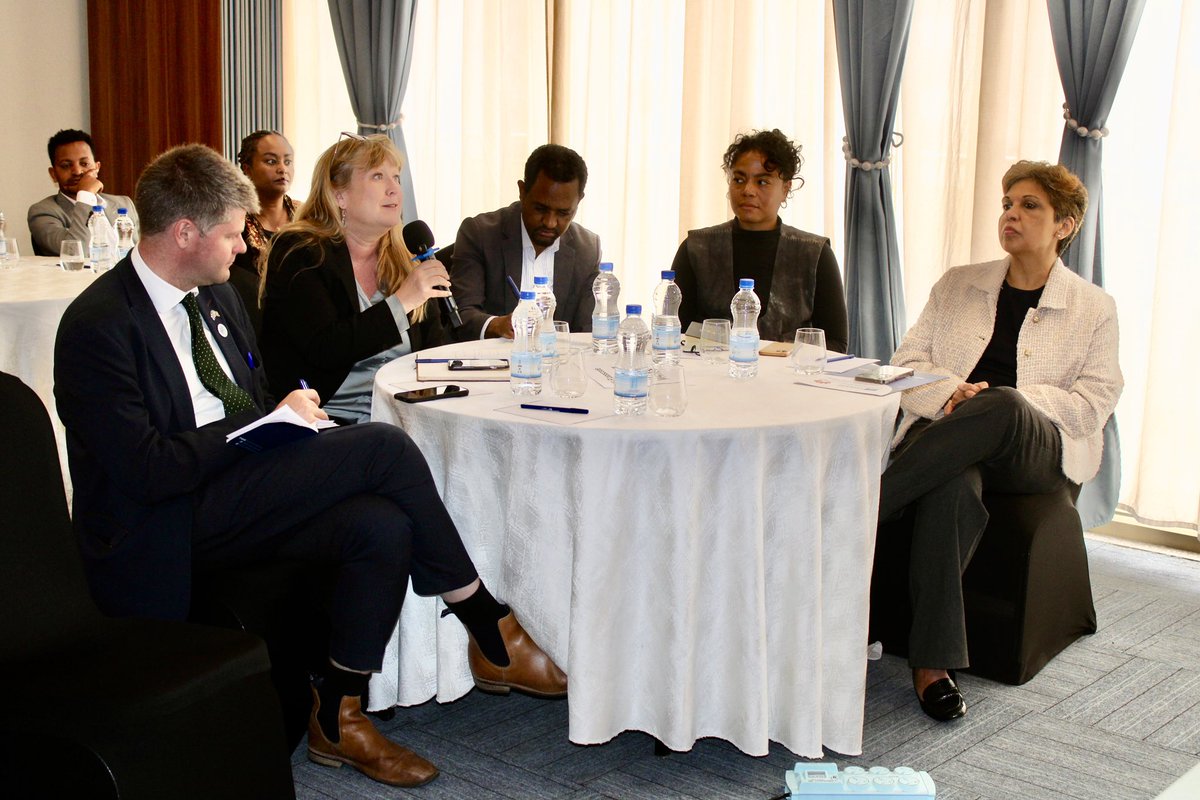 Sweden in Ethiopia & AU tweet media