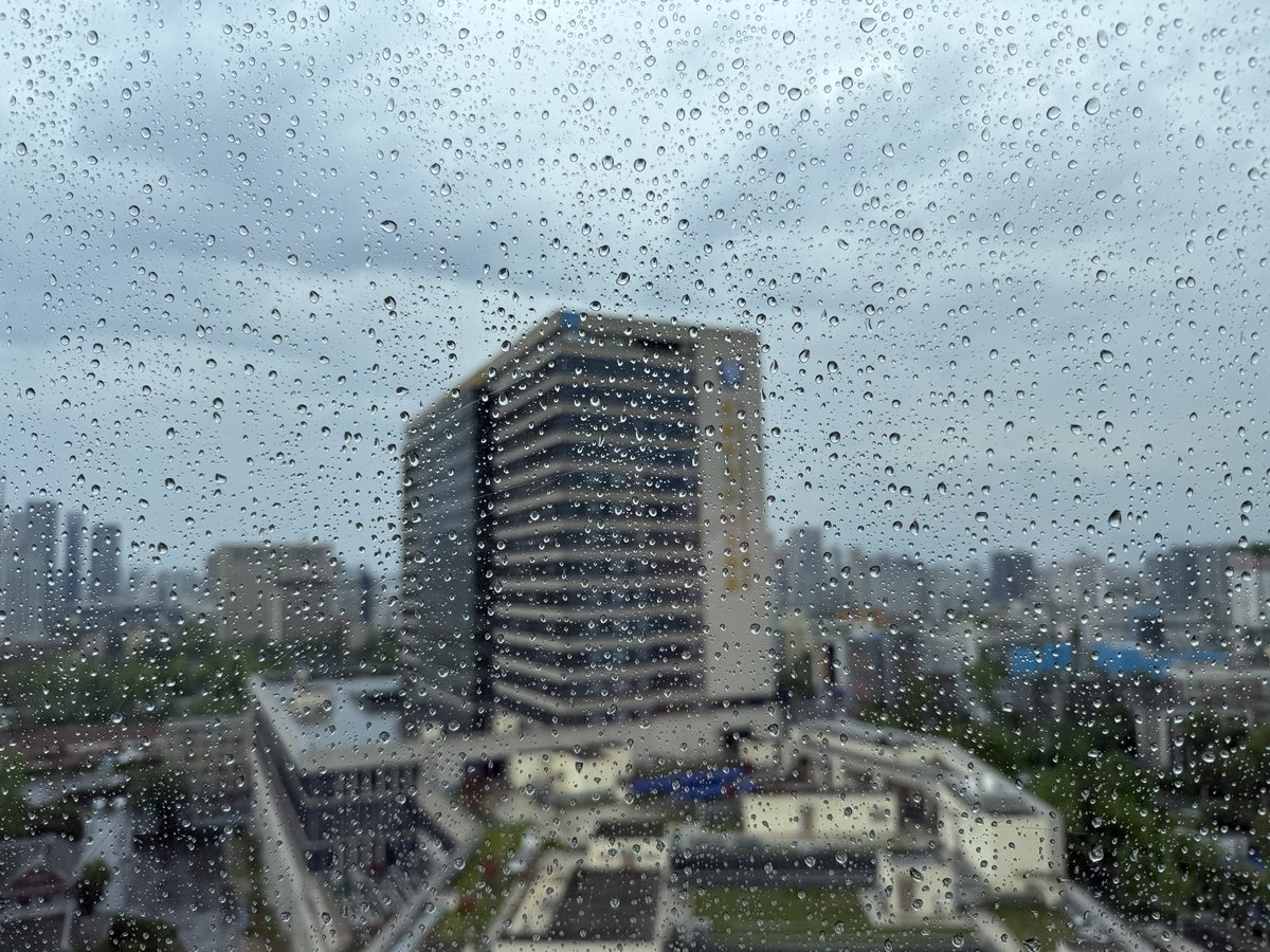 枫叶留声机 tweet media