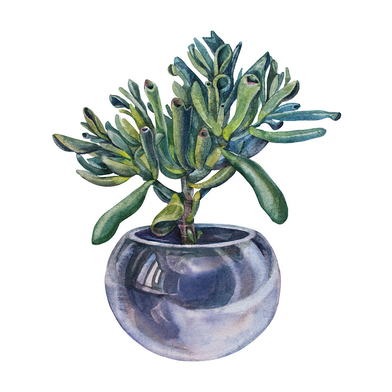 JaviRubioOrtiz's tweet photo. "Cultivate a small joy daily—try 10 mins of doodling, gardening, or birdwatching. It’s not about perfection; it’s about light for your day " https://t.co/tqFs9kqUuu
