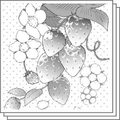 🎨익명의 자료계 tweet media