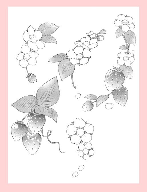 🎨익명의 자료계 tweet media