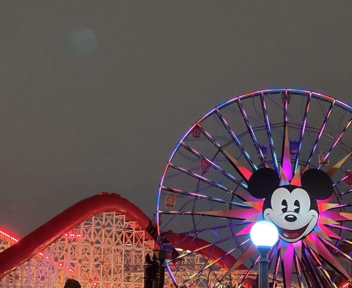 しゃど tweet media