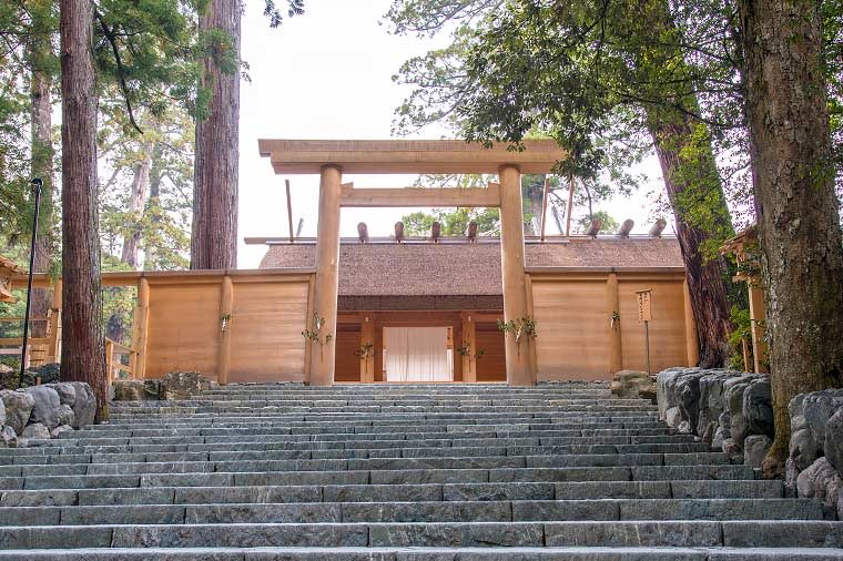 はとバス【公式】 tweet media