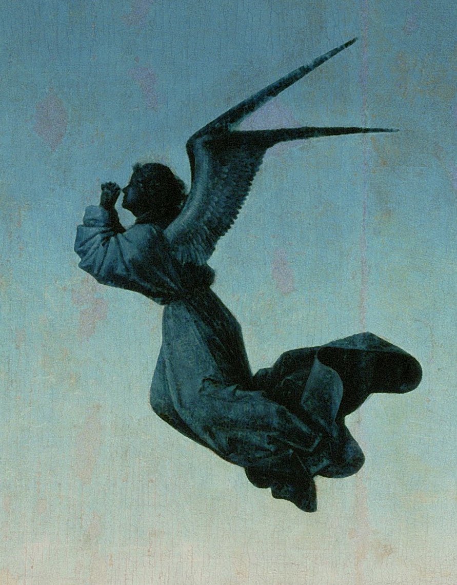 ✨Amparo Soler Domingo ✨𝒜.𝒮 tweet media