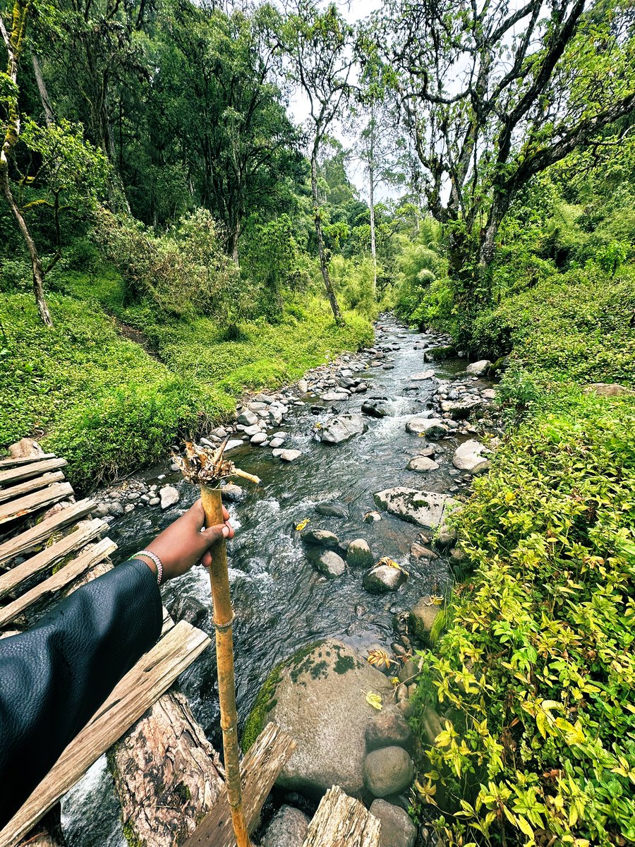 Nick_tradesKe tweet media