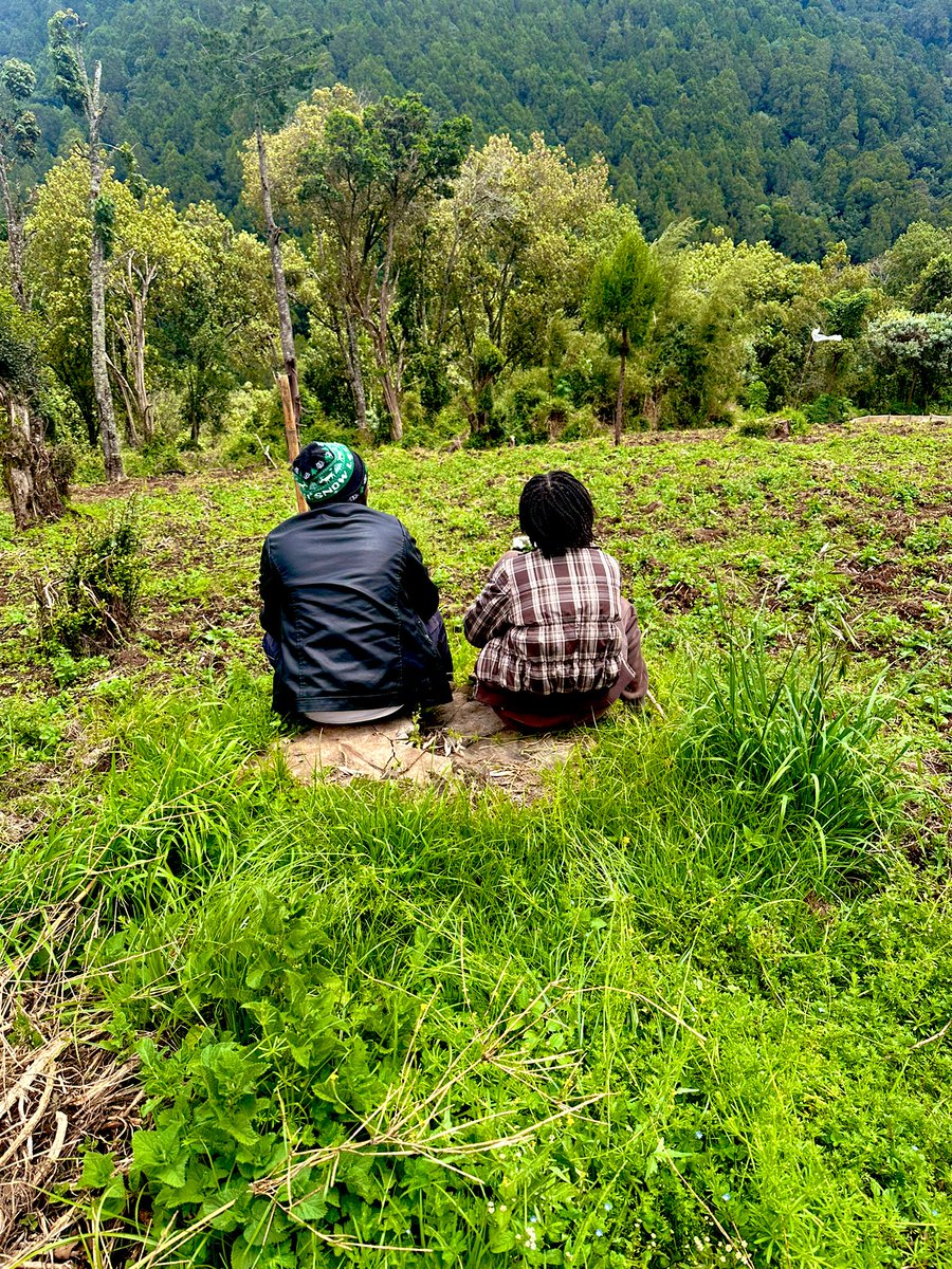 Nick_tradesKe tweet media