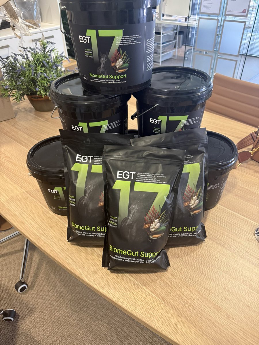 LevDogs's tweet photo. 1/ As a horse owner and founder of EnviroGraze, I hear this all the time: “I spend good money on gut supplements but it feels like they just pass straight through.”
You see undigested bits in the manure, or your horse isn’t getting the full benefit from hard feed. Sound familiar?
2/ Modern management (grain, stress from travel/shows, performance work) can mean digestion struggles before feed even reaches the hindgut properly.
Many popular options add probiotics to the hindgut — which is great — but what if we support breakdown earlier in the tract?
3/ That’s exactly why I developed EGT17™ BiomeGut Support.
It’s built on our HSB-10™ sprouted barley platform delivering high levels of natural, live plant-derived enzymes (including strong amylase activity — independently verified).
One simple 50g scoop per day helps horses utilize grains and hard feed better.
4/ Horse owners are noticing improved feed efficiency and support for healthy hindgut function — without complicated stacking.
It’s compatible with common ulcer treatments too (different part of the system).
5/ If you’re tired of expensive additions to the manure pile, this might be worth trying.
Trial sizes available at https://t.co/YB9VD7rAx2 (or DM me if you’re in QLD and want to chat about it).
What’s the biggest digestion challenge you see in your horses? Happy to share more from the stable.
#EquineGutHealth #HorseNutrition #PerformanceHorses #AustralianHorses #QLDHorses