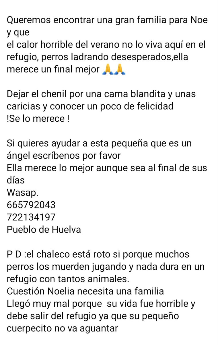 María Viñuela del Jeso tweet media