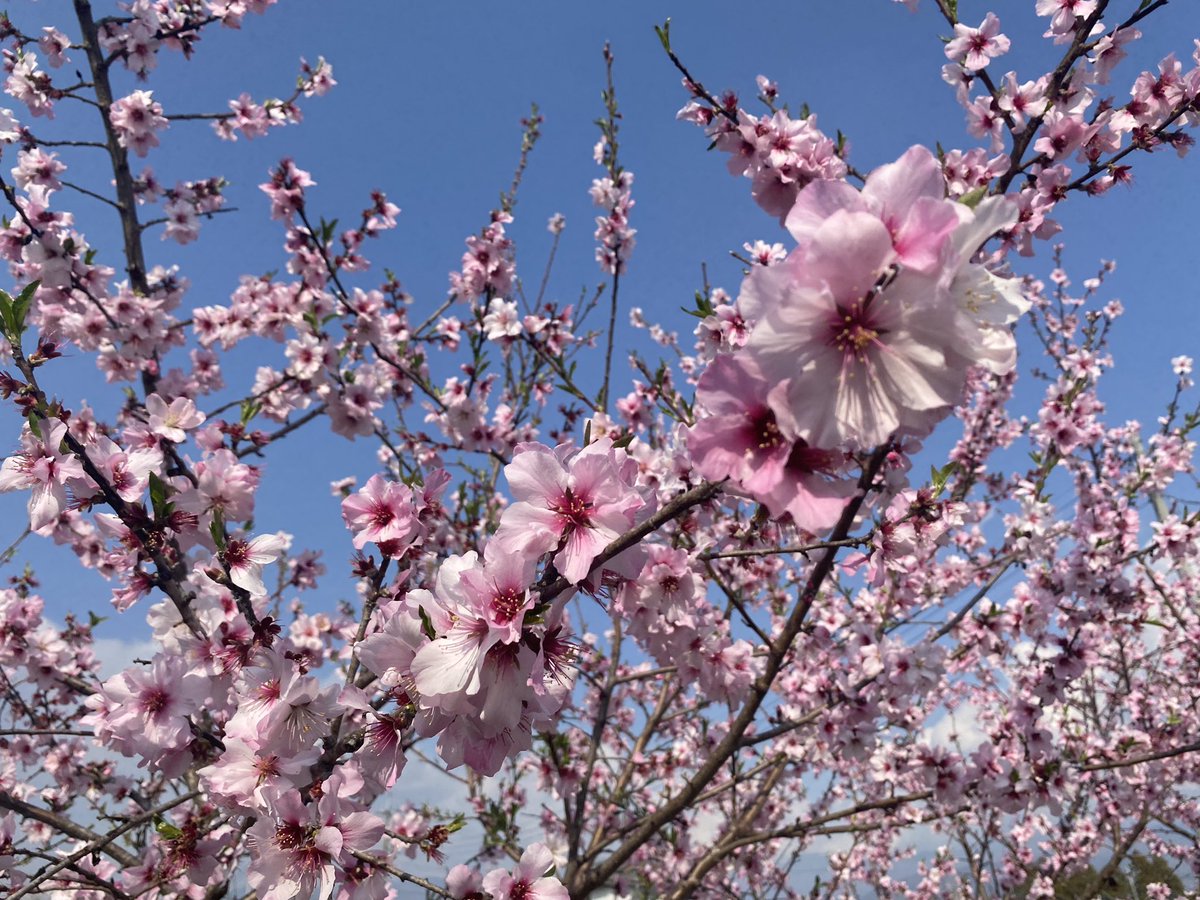 Jam227jp tweet media