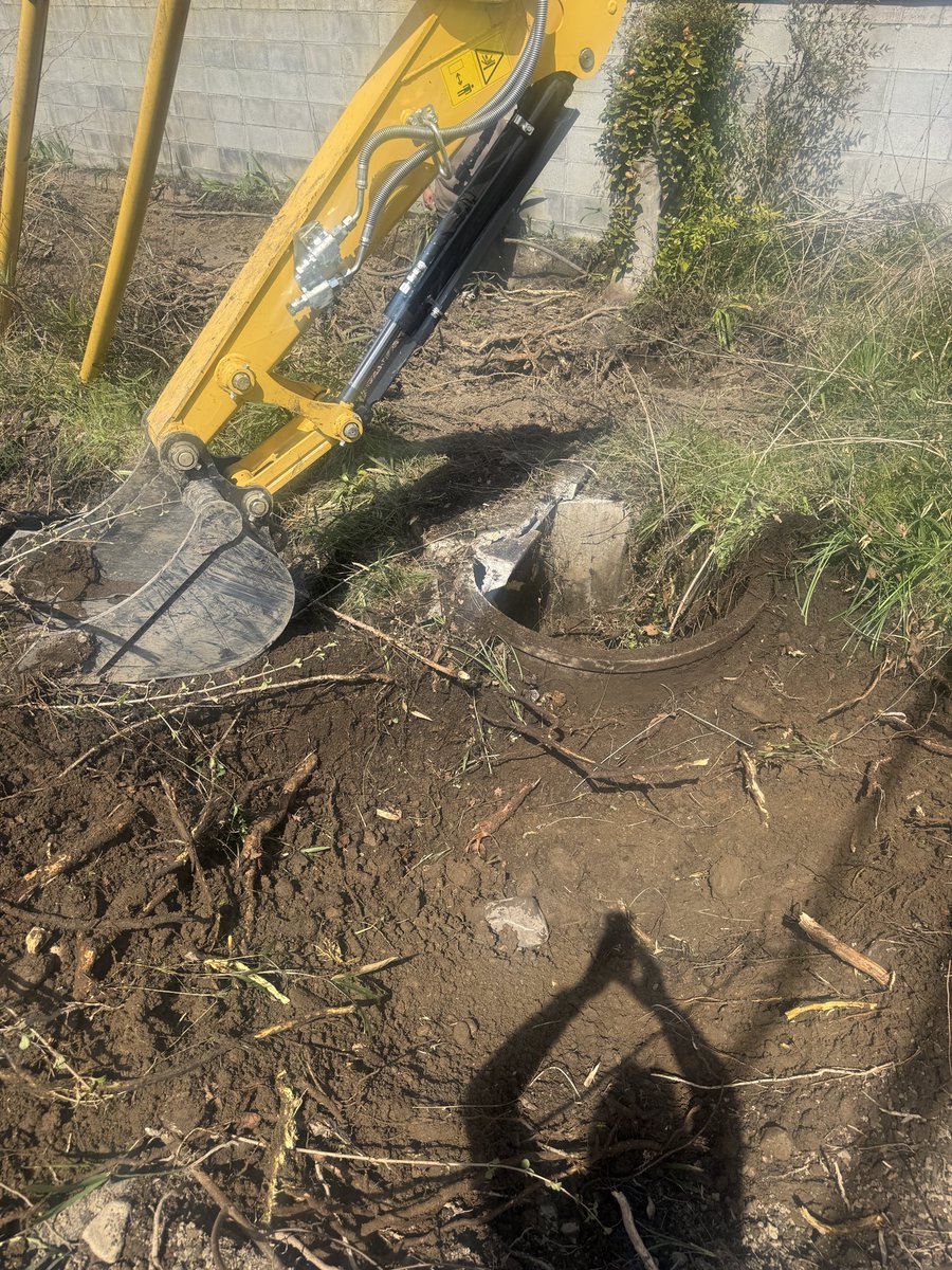 くまっち@那須大家 tweet media