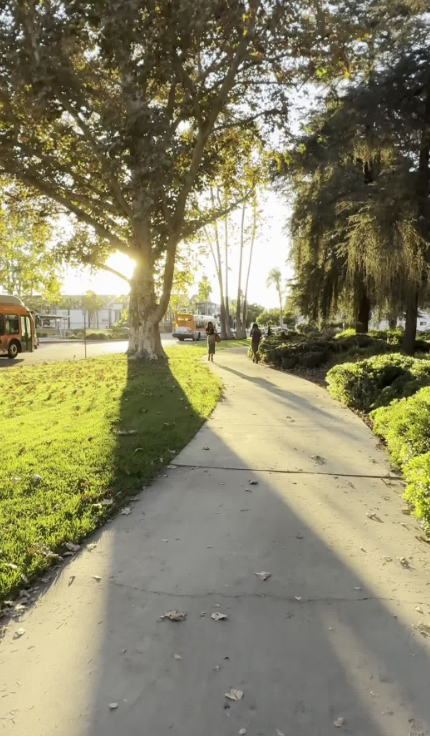 Ananya Sharma tweet media