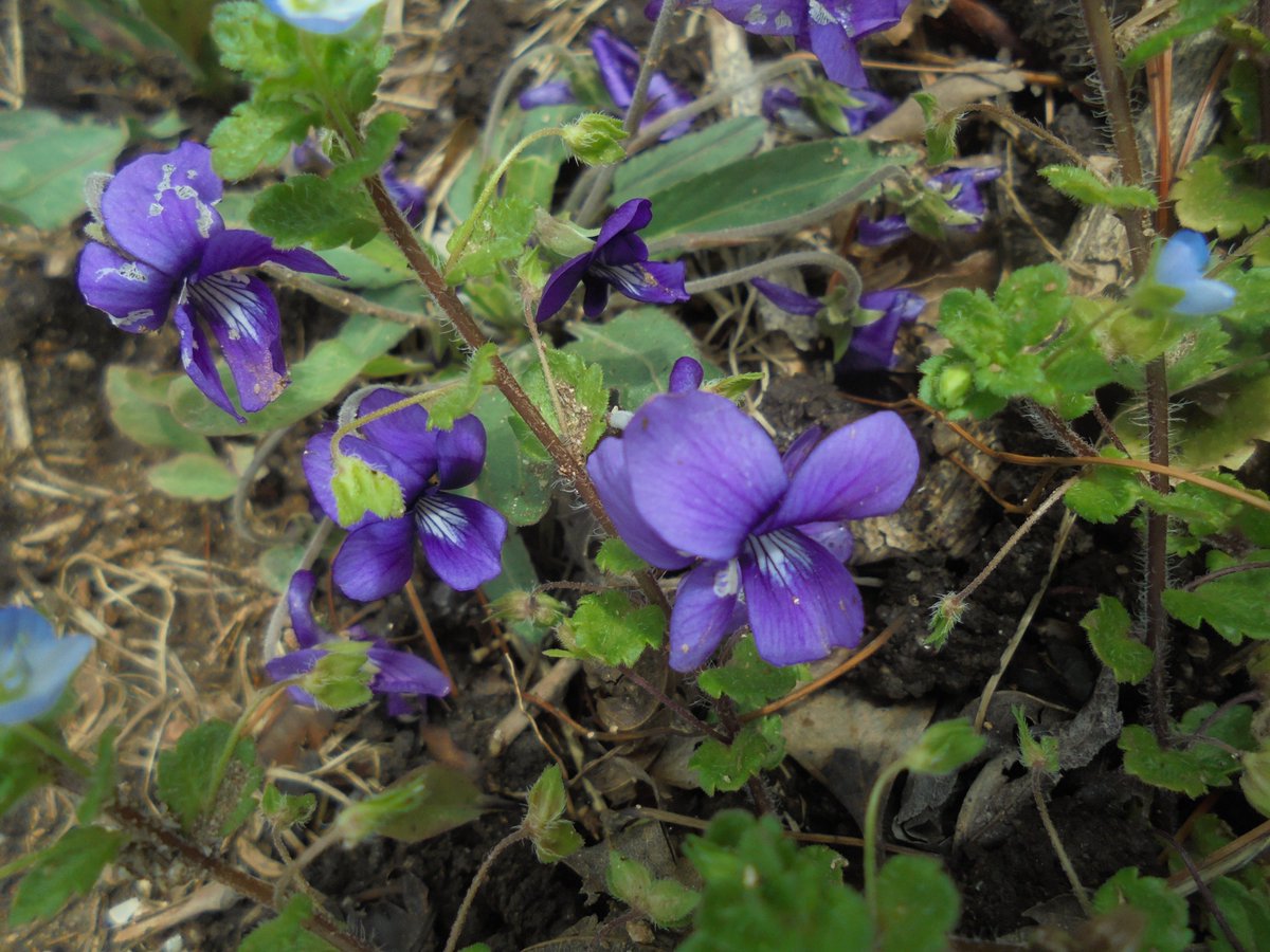 이근제 tweet media