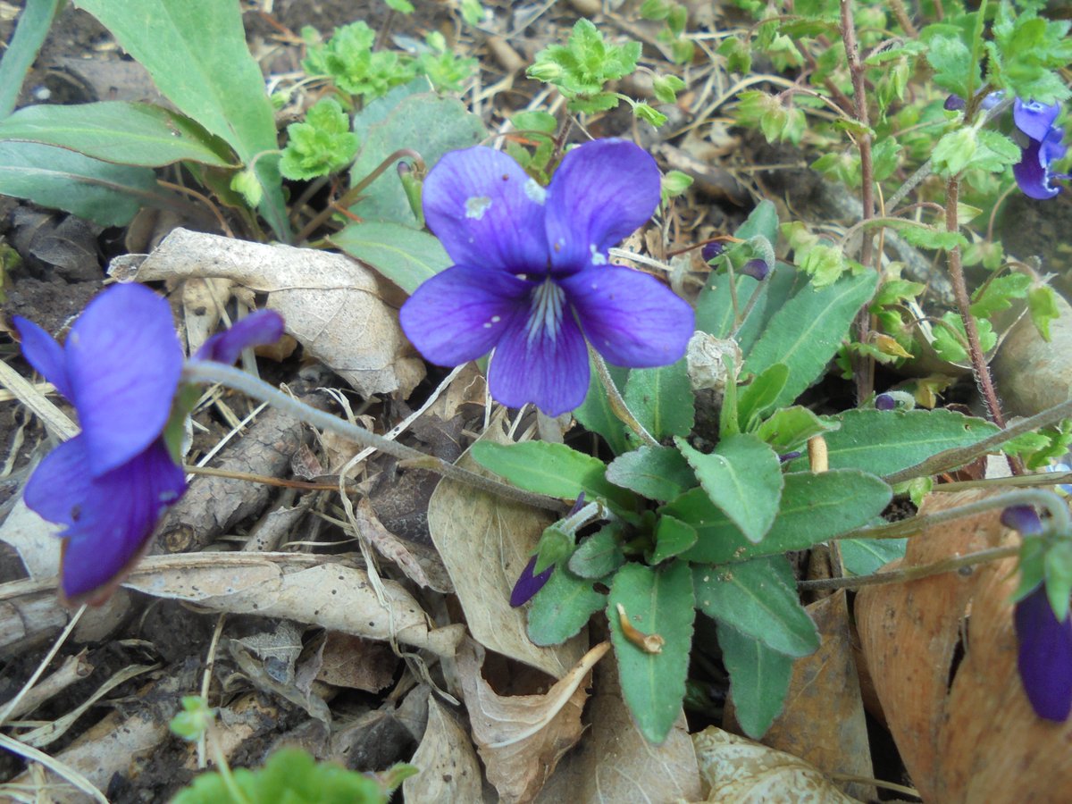 이근제 tweet media