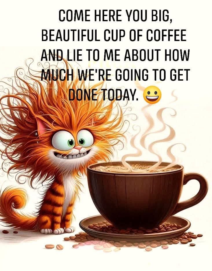 JG💙💙 tweet media