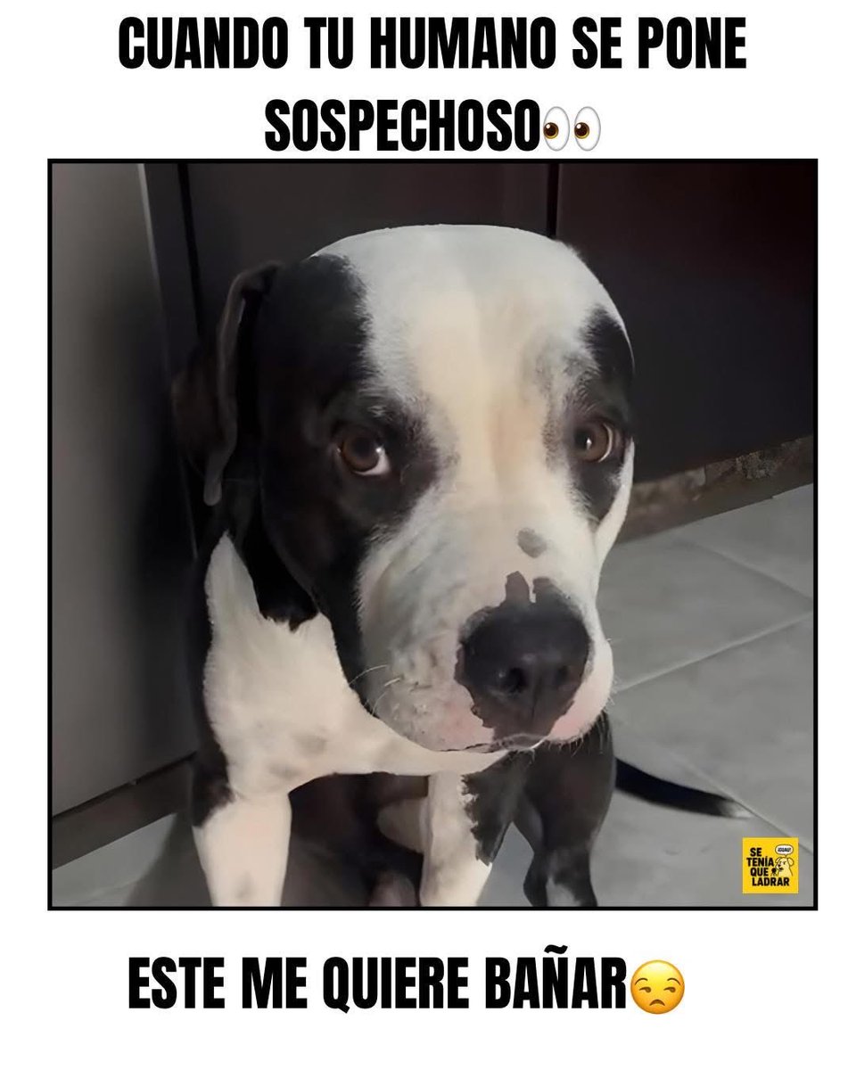 Diego Manso Martín (@dmansomartin) on Twitter photo 