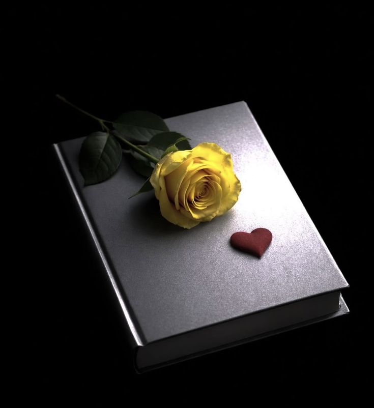 ✩˹Lɹ̤Iɹ̇bɺI յ̇Ĩgᓅ˼✩ tweet media