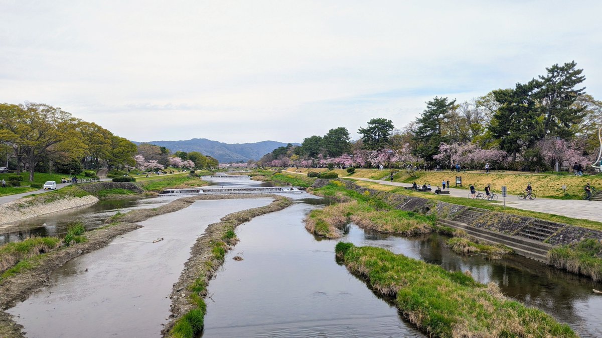 今西 善也 tweet media