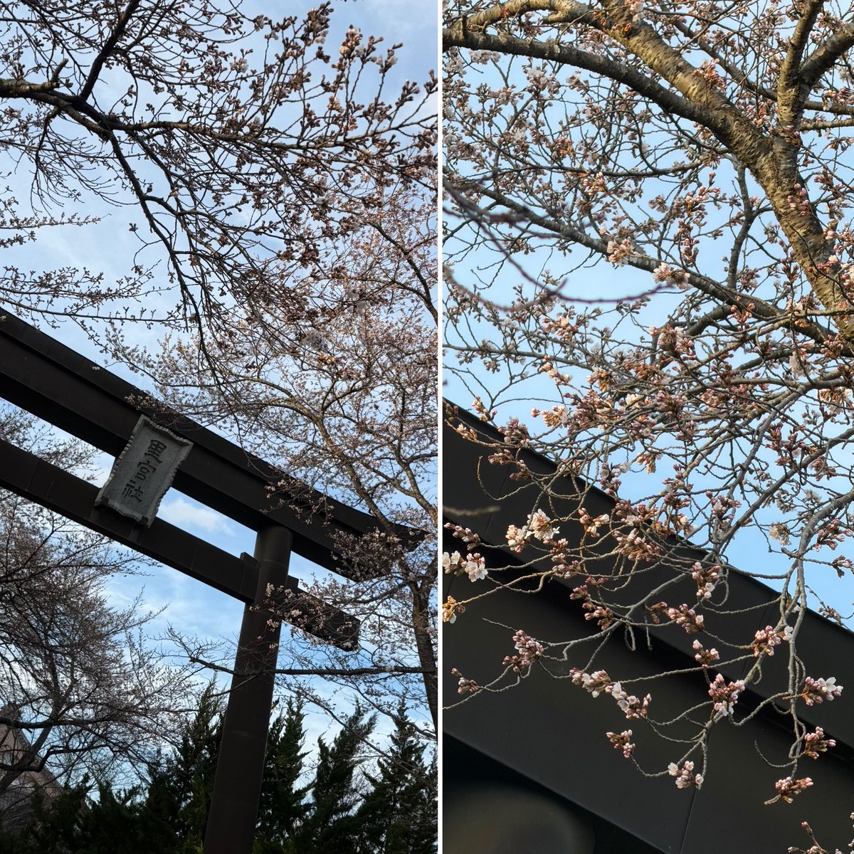 あずにゃん🐈‍⬛ tweet media