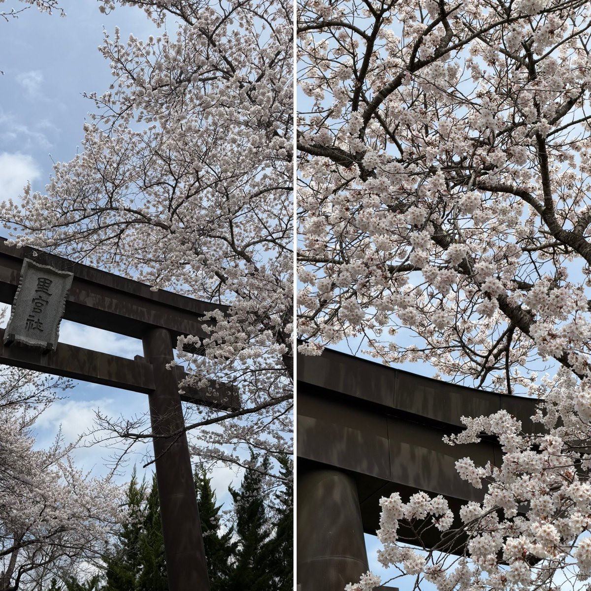 あずにゃん🐈‍⬛ tweet media