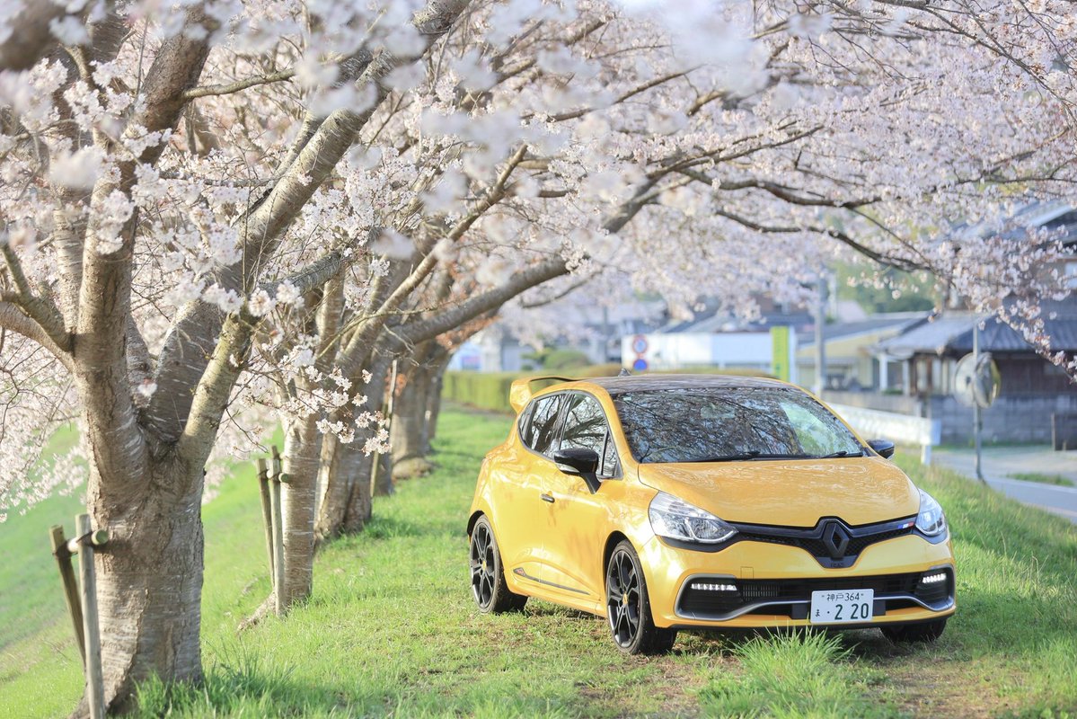 ミクラ tweet media