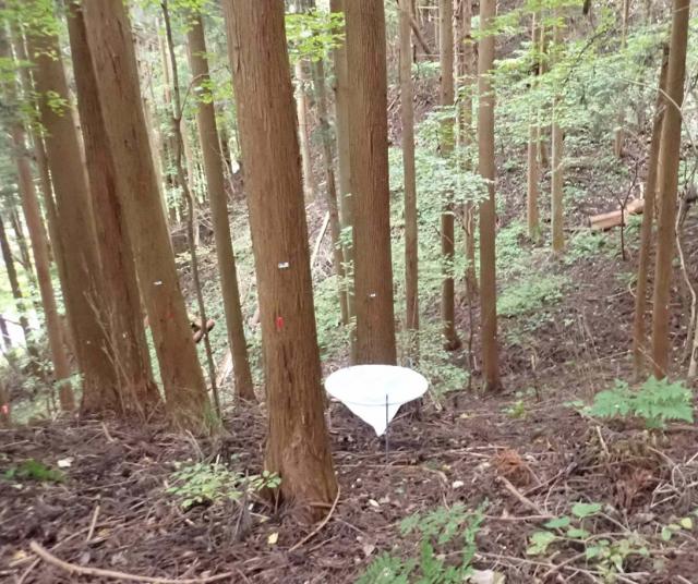 FFPRI_JP's tweet photo. 【研究成果】場所によって違う森林内のセシウム移動量、地点間でばらつき最大10倍
https://t.co/V1UwkOpjBt https://t.co/UAUe0QJSRO