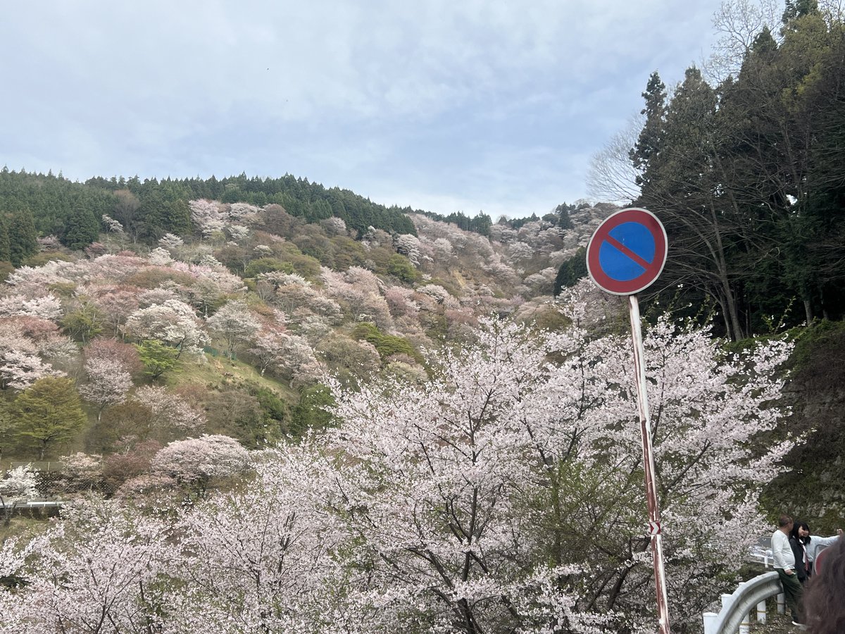 不定期 tweet media