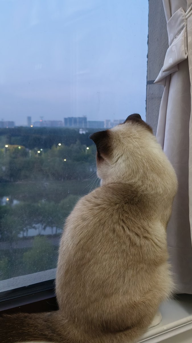 Xuan Soda tweet media