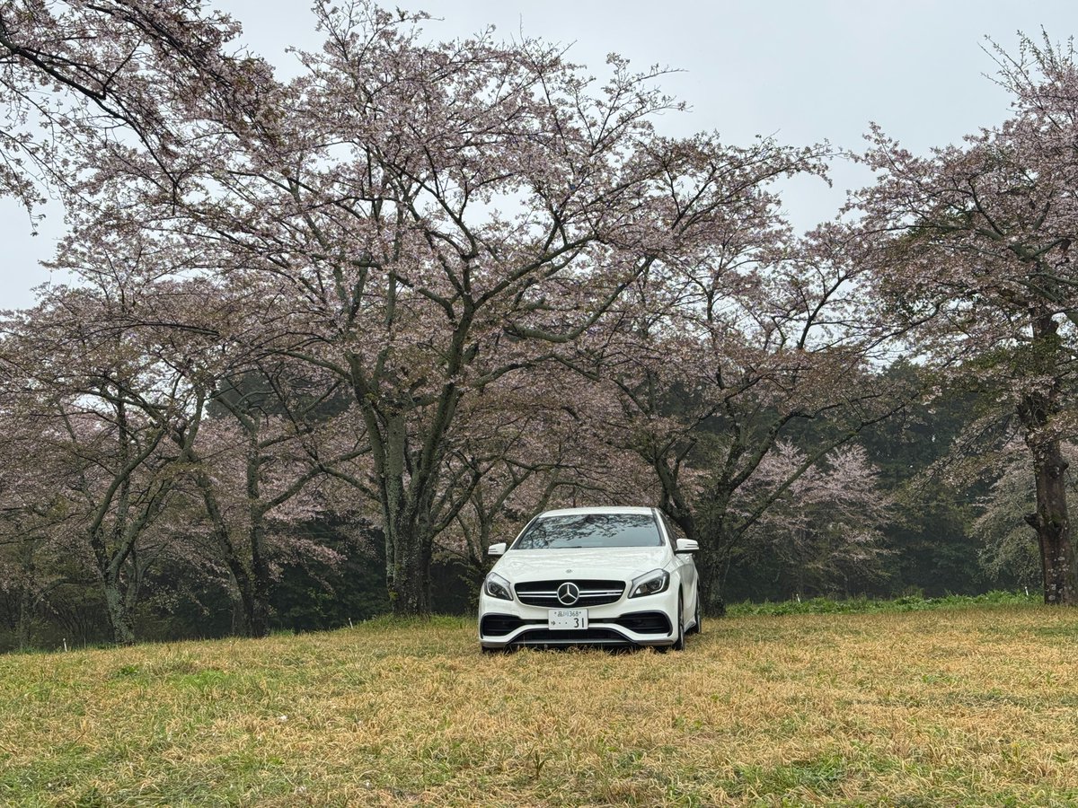 SAI（旧さとイモ） tweet media