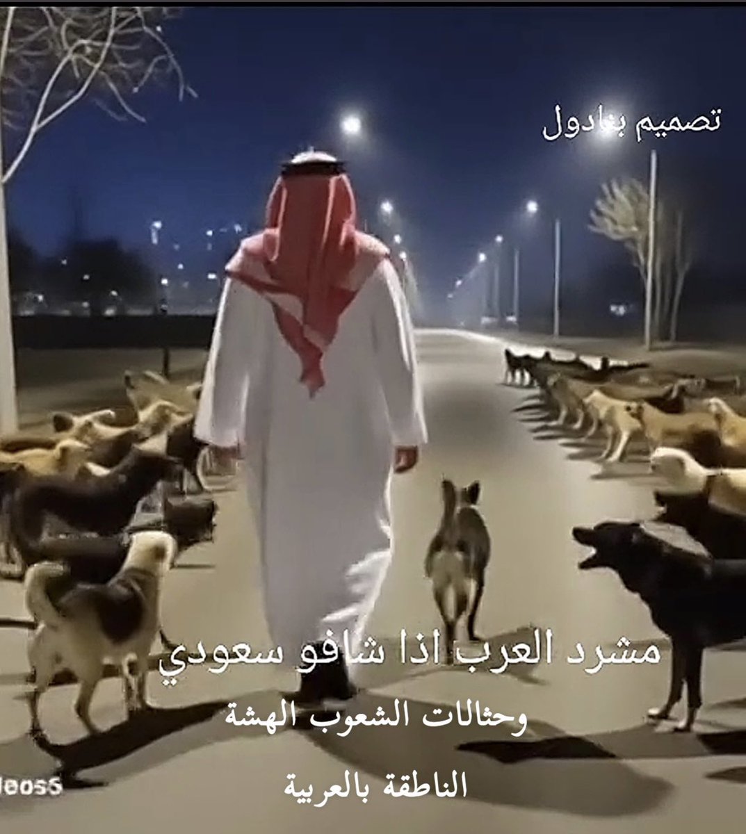 ضي📚 tweet media