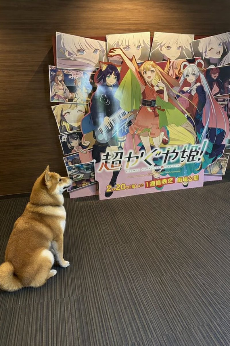 久兵衛 tweet media