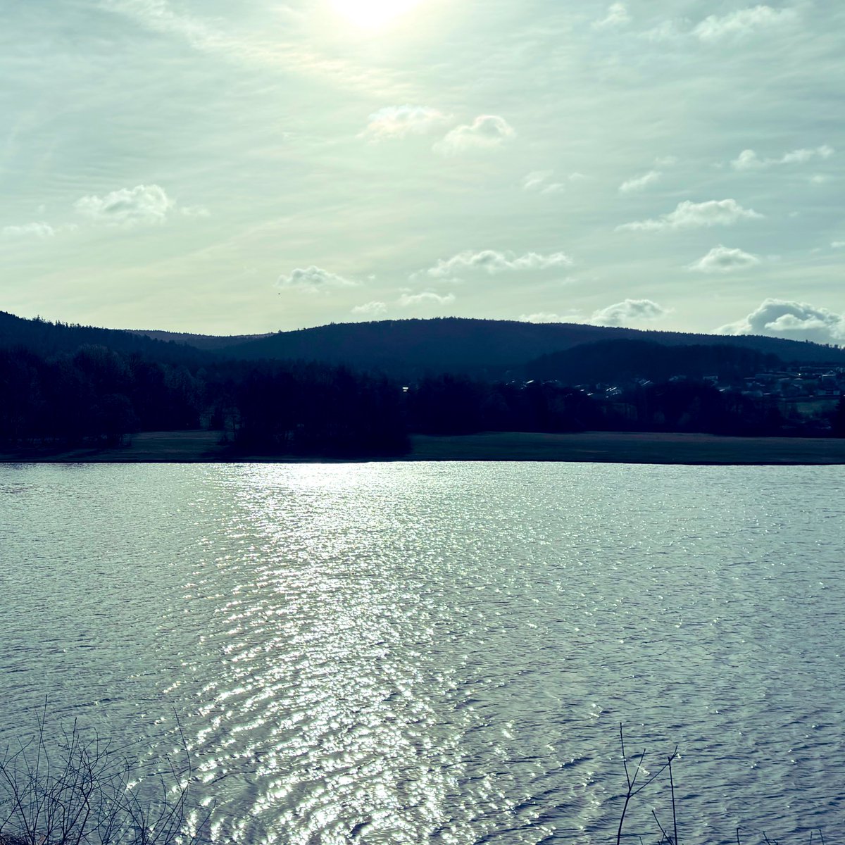 weissblauemacht's tweet image. Guten Morgen Bayern 🐣
"Good morning, world! 🌍 Greetings from the Bavarian Forest 🤍💙😎✌️
#Bayrischerwald 
#oase #World #NatureVibes #NaturLover 
#NaturePhotography
