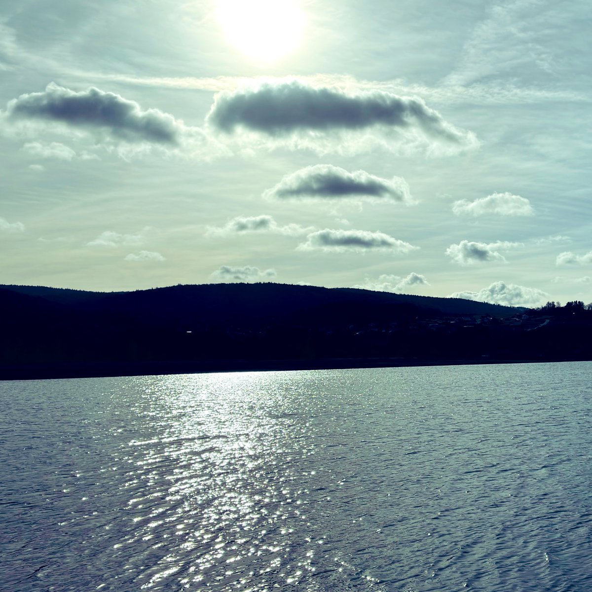 weissblauemacht's tweet image. Guten Morgen Bayern 🐣
"Good morning, world! 🌍 Greetings from the Bavarian Forest 🤍💙😎✌️
#Bayrischerwald 
#oase #World #NatureVibes #NaturLover 
#NaturePhotography