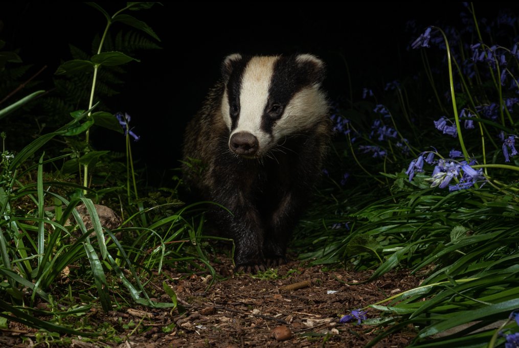 Richard Bowler tweet media