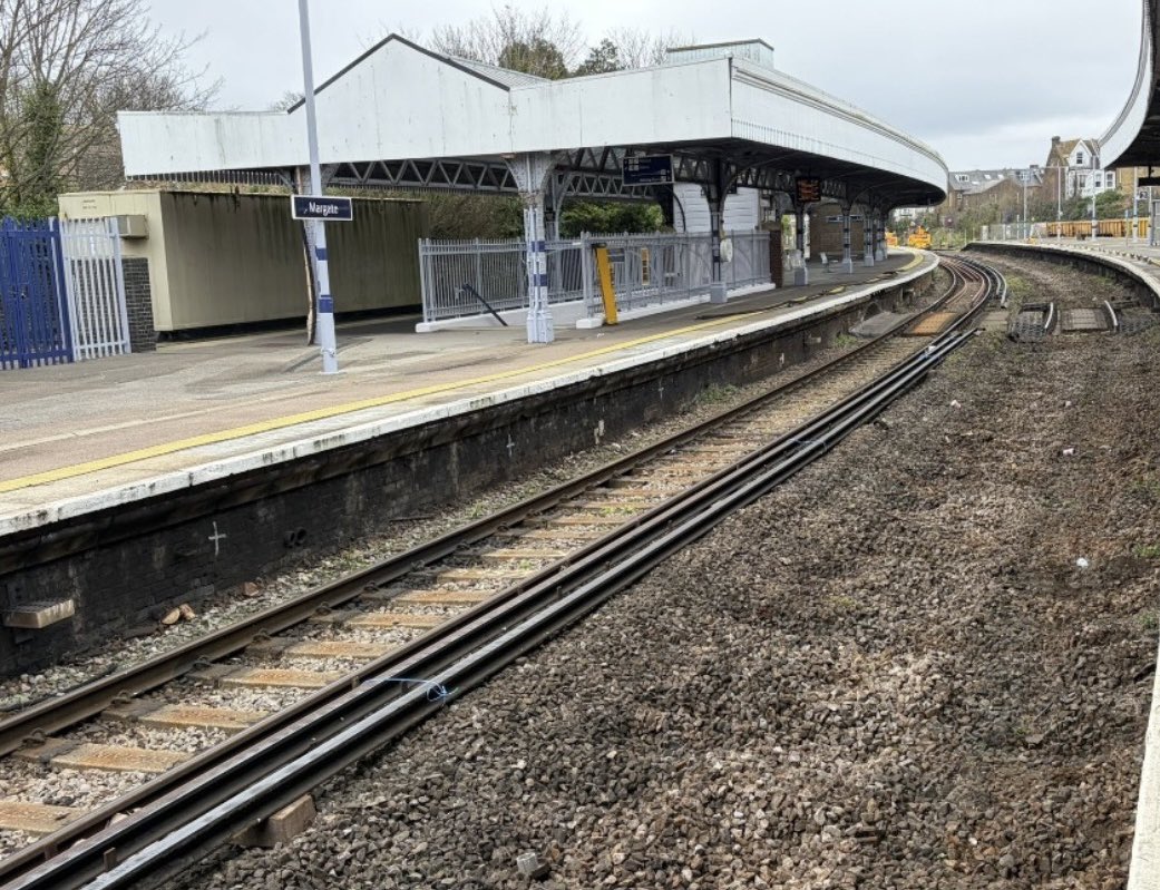 Steve White tweet media