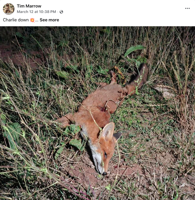 Richard Bowler tweet media