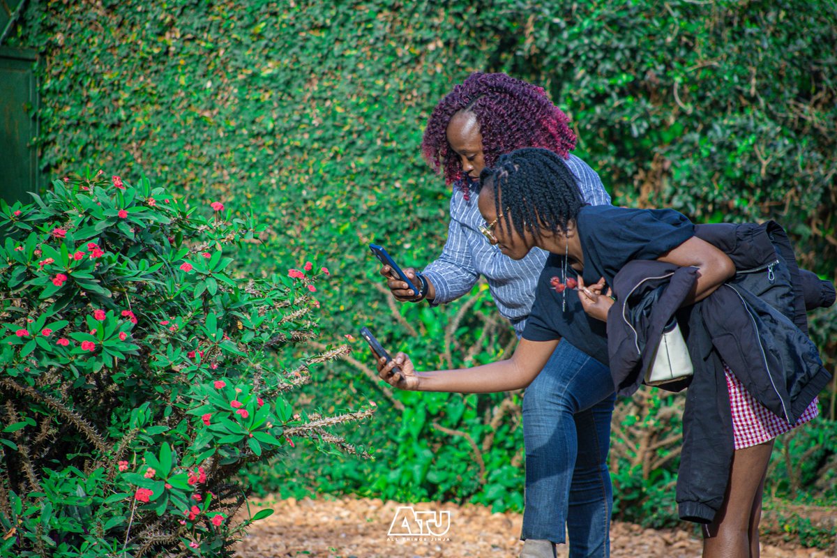 AllThingsJinja's tweet photo. At Nile Crescent, the team focused on capturing high-quality nature shots that meet @WordPress standards i.e. clean, vibrant, and perfectly aligned with the mission to provide diverse, free-to-use imagery for creators worldwide.

#AllThingsJinja #WPJinjaPhotoWalk #JinjaPhotoWalk https://t.co/T9LQe3VOwW