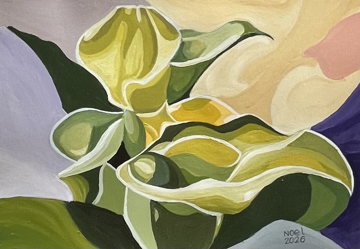 noel callewaert 🖌️🖌️🖌️ tweet media