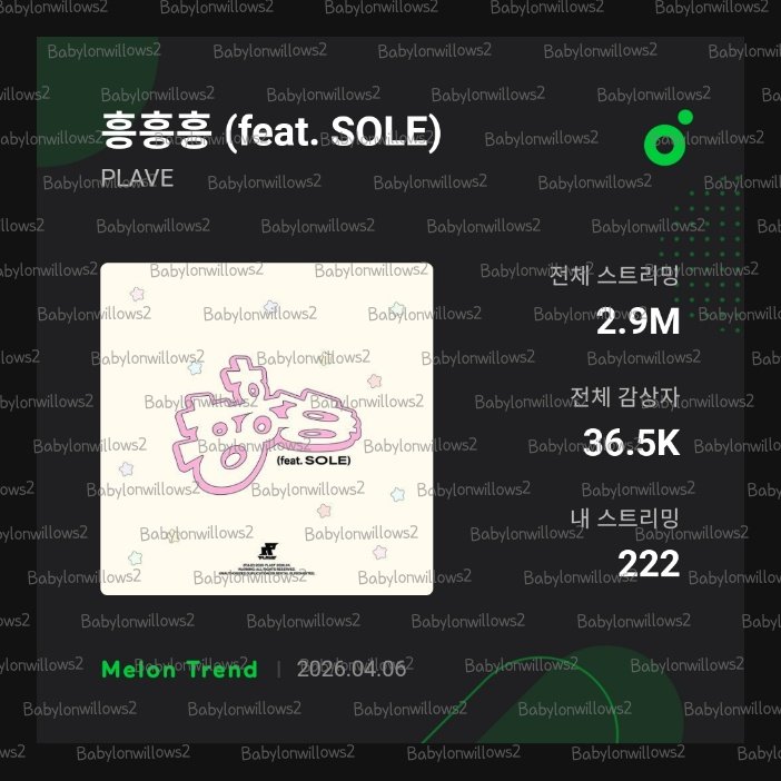 수양버들 tweet media