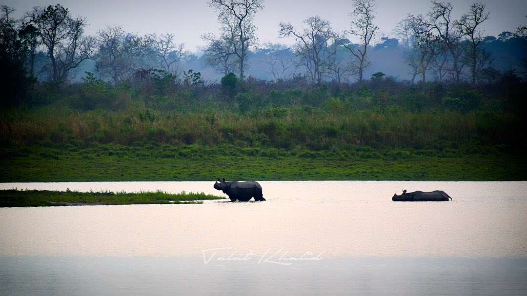 wildlifephototours tweet media