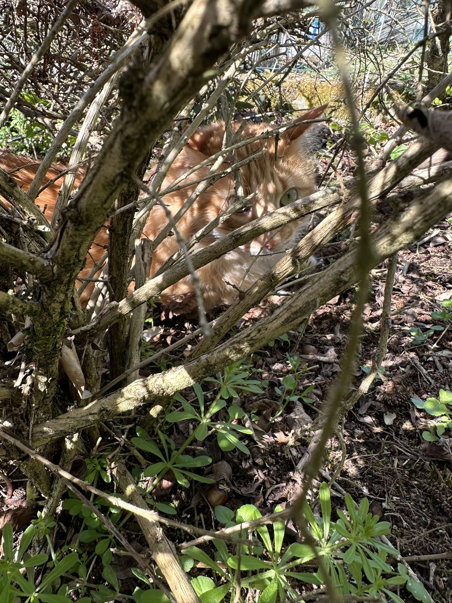 Châteauroux et Salem tweet media