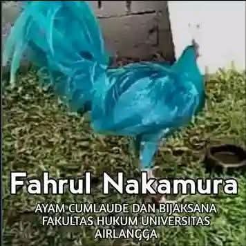 Dede Kontolunggono tweet media