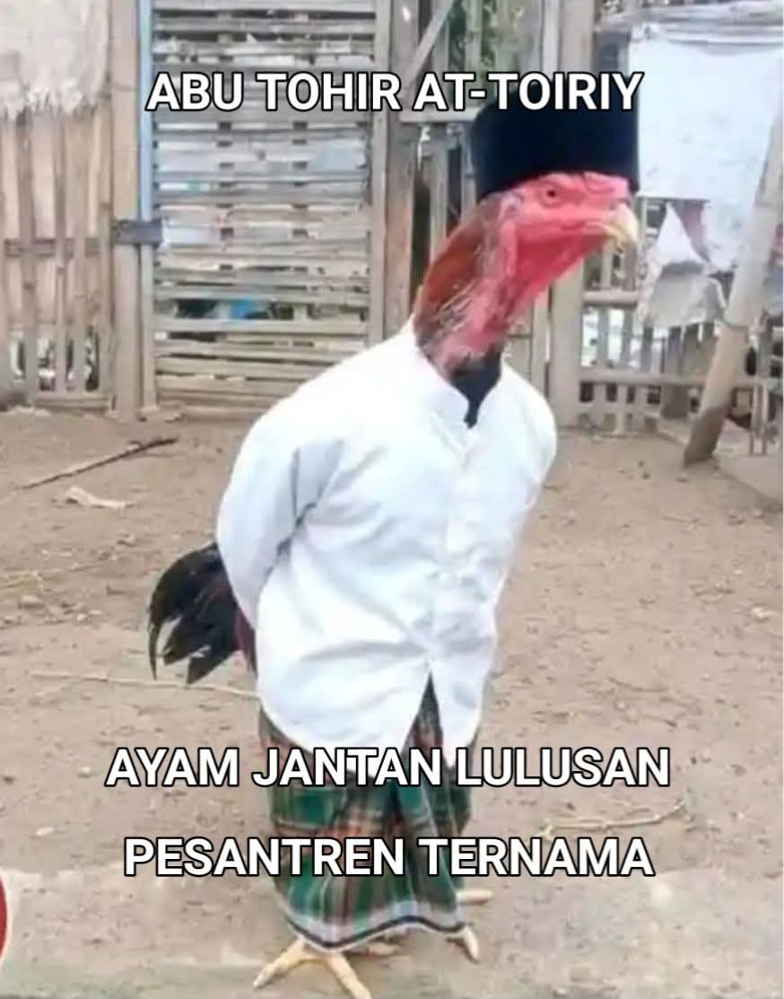 Dede Kontolunggono tweet media