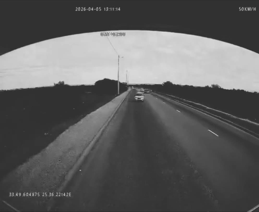 The Instigator tweet media