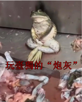 Anson巨龙 tweet media