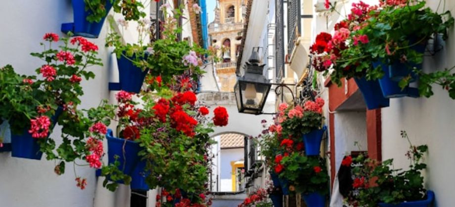 articulo's tweet image. Motivos para visitar y no perderte los Patios de Córdoba 
👉 articulos.io/27052-leer 

Publicado por Noelia Casillas, de España, con 80 lecturas este mes. 
#articulo #motivos #visitar #perderte #patios #córdoba