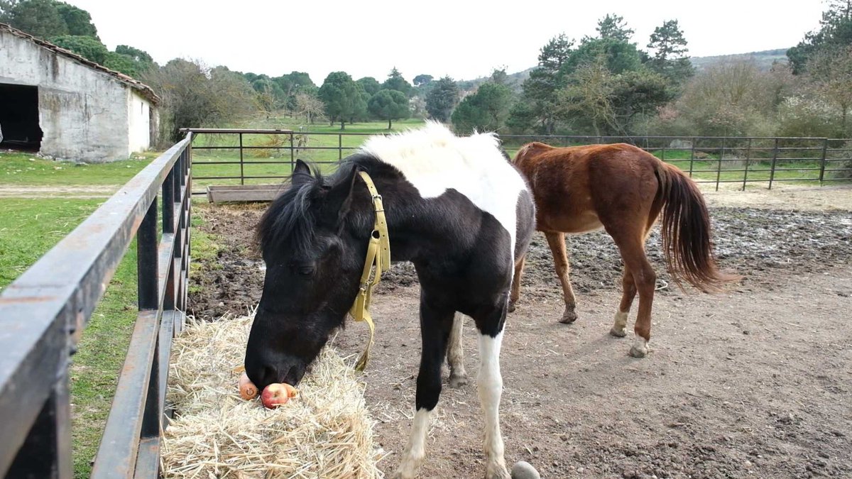 Balıkesir Üniversitesi / Balıkesir University tweet media